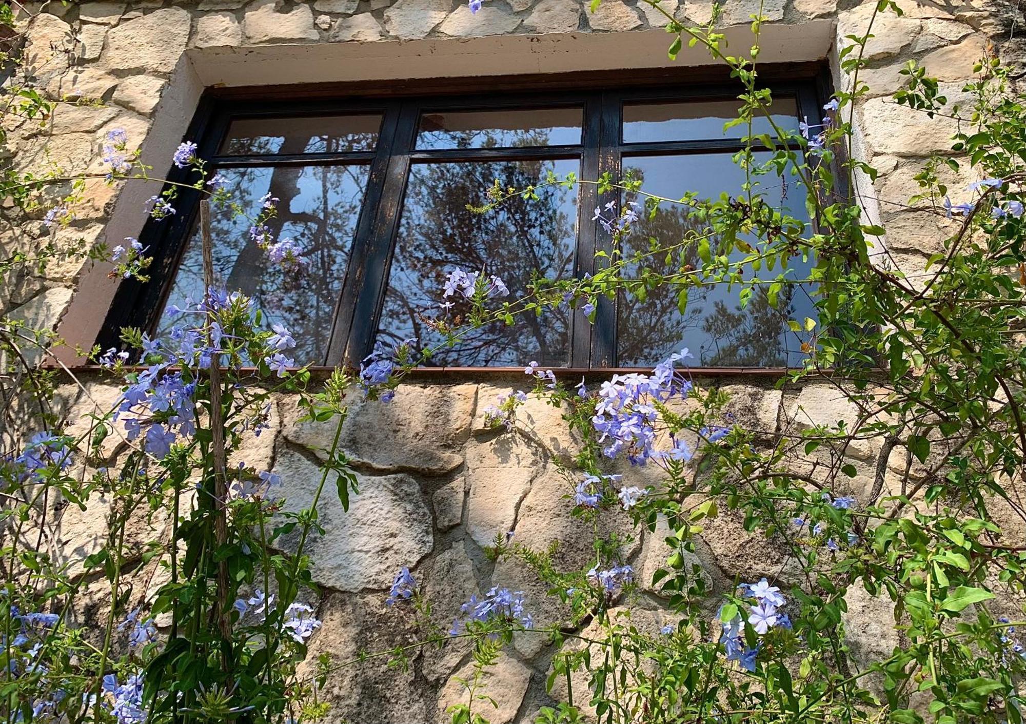 La Casita Del Bosque Apartment Sant Pere De Ribes Exterior photo